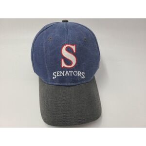 Vintage Harrisburg Senators ABC 27 Snapback Hat Cap Men Women MiLB Baseball Blue